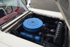 Foto-08.10.16-11-06-32