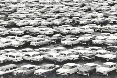 FB_IMG_1719224616300